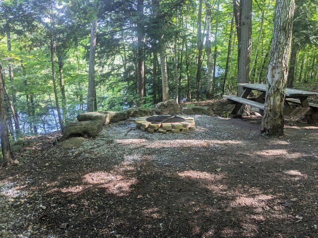 Image 3 for 95) Shaded Forest Tent Site with Lake Glimpses