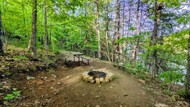 Image 3 for 75) Shaded Forest Tent Site with Lake Glimpses