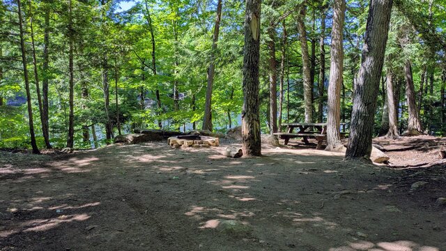 Image 1 for 95) Shaded Forest Tent Site with Lake Glimpses