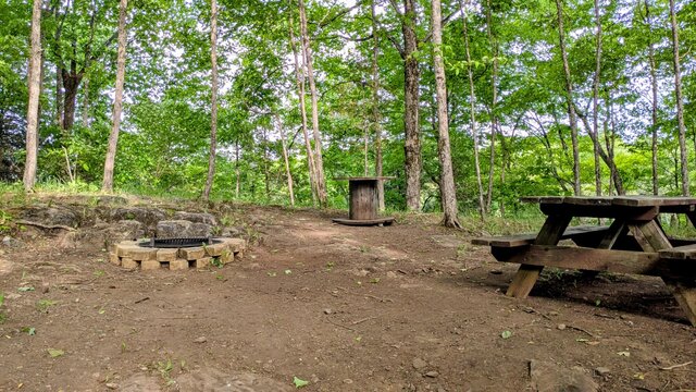 Image 4 for 74) Shaded Forest Tent Site with Lake Glimpses