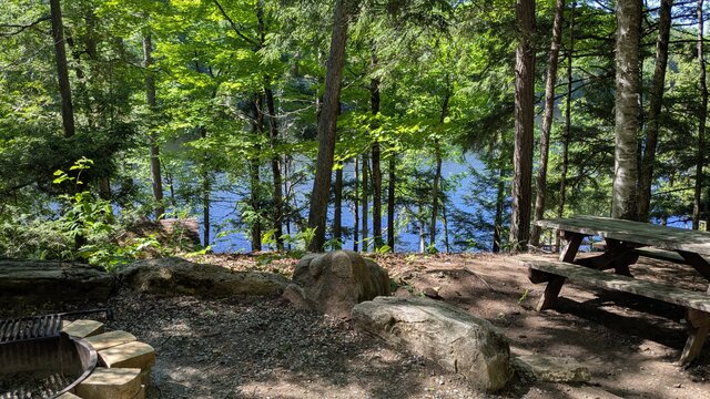 Image 3 for 95) Shaded Forest Tent Site with Lake Glimpses