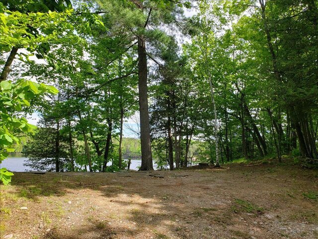 Image 1 for 97) Premium Waterfront Tent Site