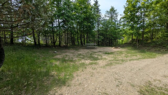 Image 3 for 76) Shaded Forest Tent Site with Lake Glimpses