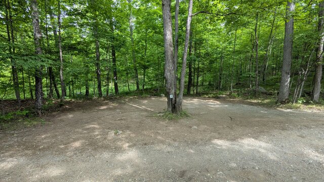 Image 3 for 71) Spacious Forest Tent Site