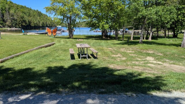 Image 3 for 50) Spacious Beachfront RV Site | Hydro & Water
