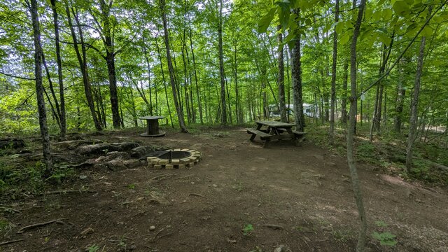 Image 3 for 74) Shaded Forest Tent Site with Lake Glimpses