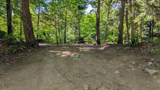 Image 2 for 95) Shaded Forest Tent Site with Lake Glimpses