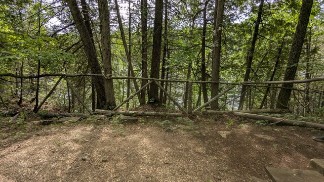 Image 4 for 75) Shaded Forest Tent Site with Lake Glimpses
