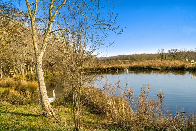 Image 14 for The Burrow