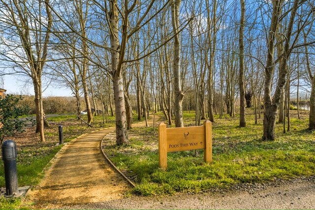 Image 15 for The Burrow