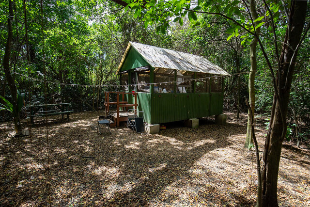 Image 8 for Hive (Cabin #2)