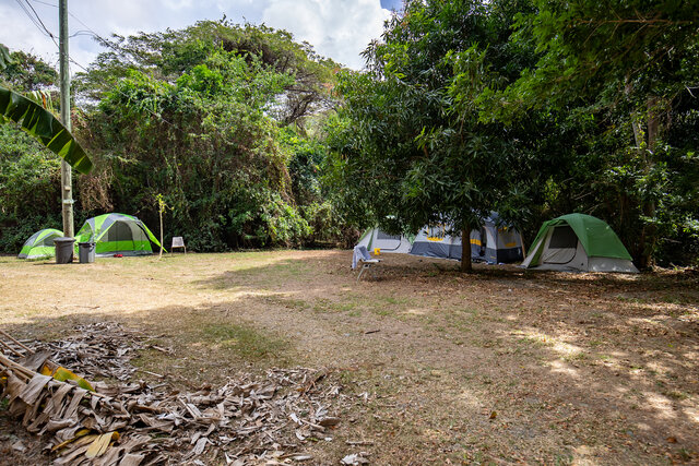 Image 2 for Tent Site 2