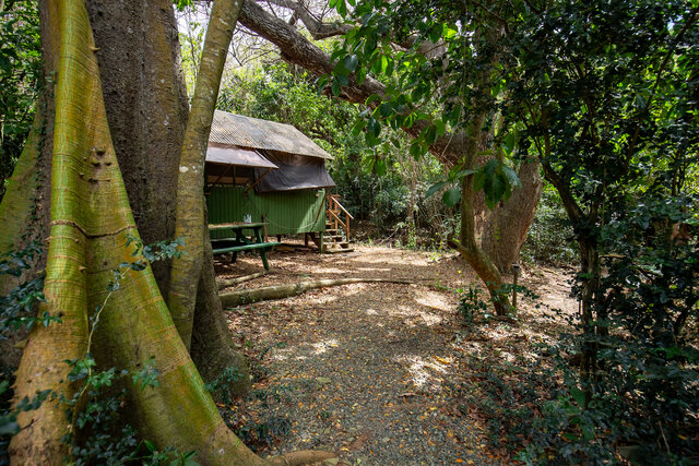Image 6 for Kapok (Cabin #5)