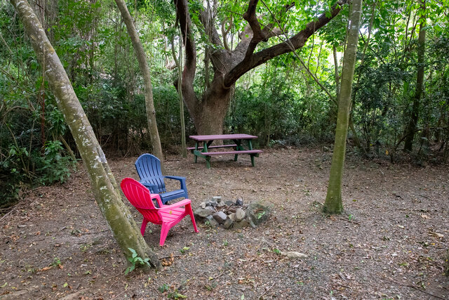 Image 2 for Noni (Cabin #4)