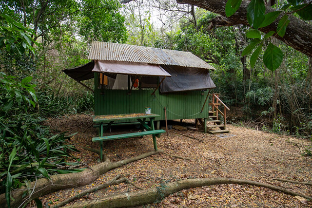 Image 3 for Kapok (Cabin #5)