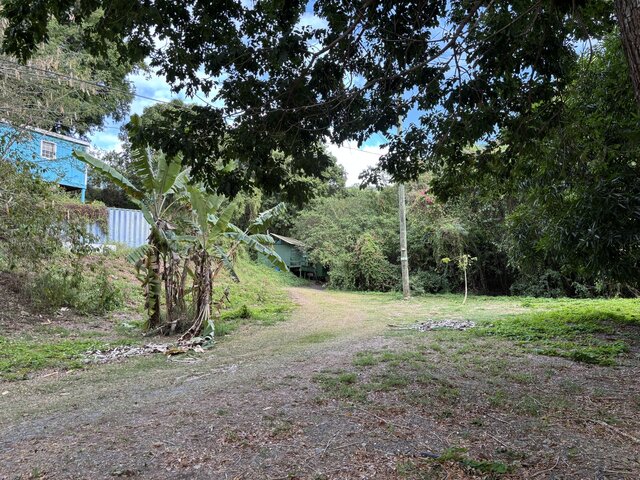 Image 4 for Genip Cabin