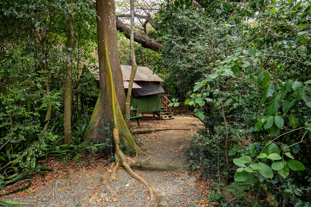 Image 1 for Kapok (Cabin #5)