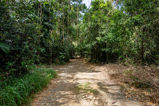 Image 7 for Kapok (Cabin #5)