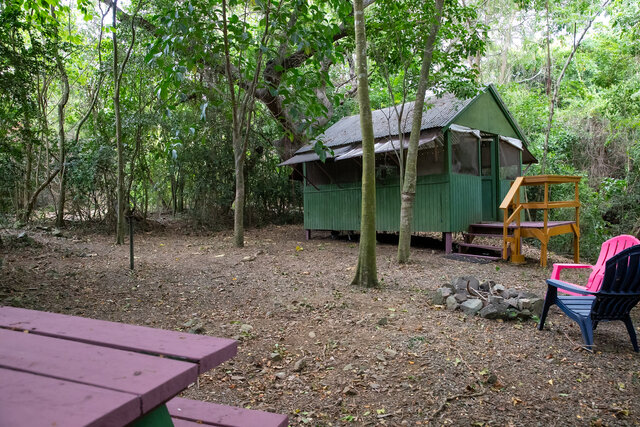 Image 1 for Noni (Cabin #4)