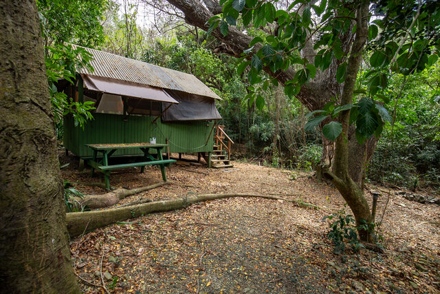 Image 2 for Kapok (Cabin #5)