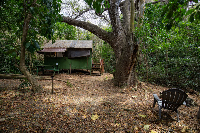 Image 4 for Kapok (Cabin #5)
