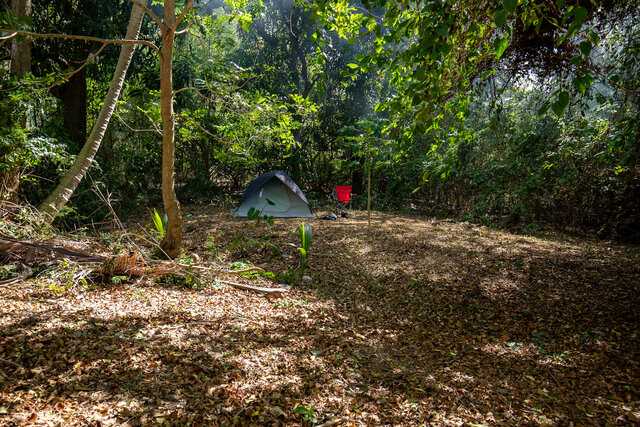 Image 1 for Tent Site 5