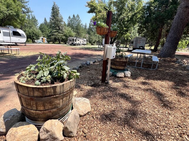 Image 2 for B4 RV Site: Pull Thru