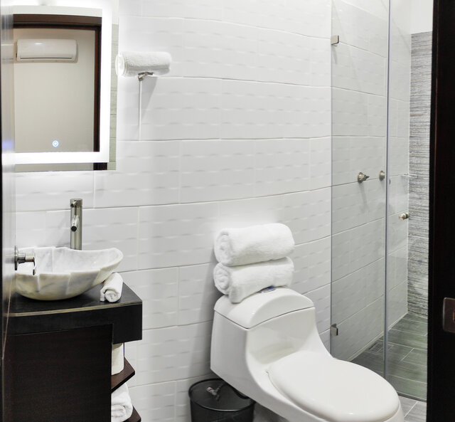 Imagen 5 de Agave Azul