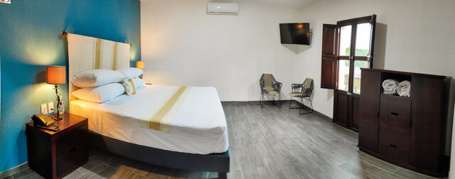 Imagen 2 de Agave Azul