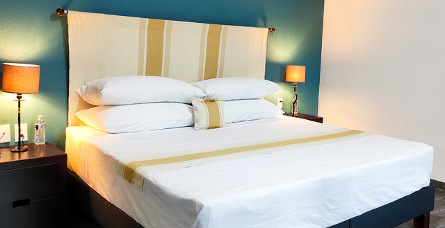 Imagen 1 de Agave Azul