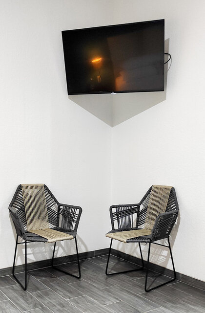 Imagen 4 de Agave Azul