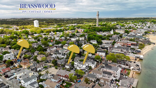 Brasswood_DroneMap