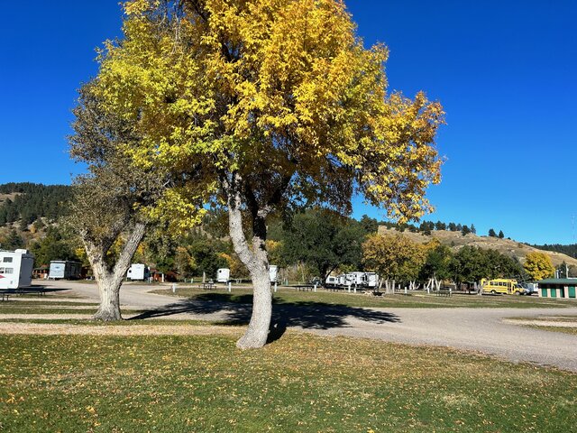 Image 12 for Cabin with Bathroom 2 Twins