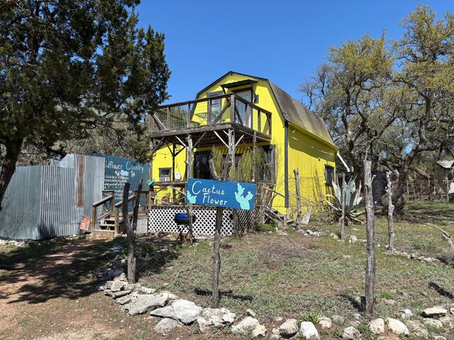 Image 9 for Cactus Flower