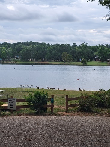 Image 4 for C11 Waterview Double Queen Cabin - Pet Friendly