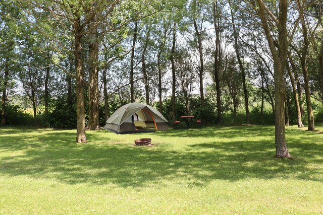 Image 1 for Tent Site