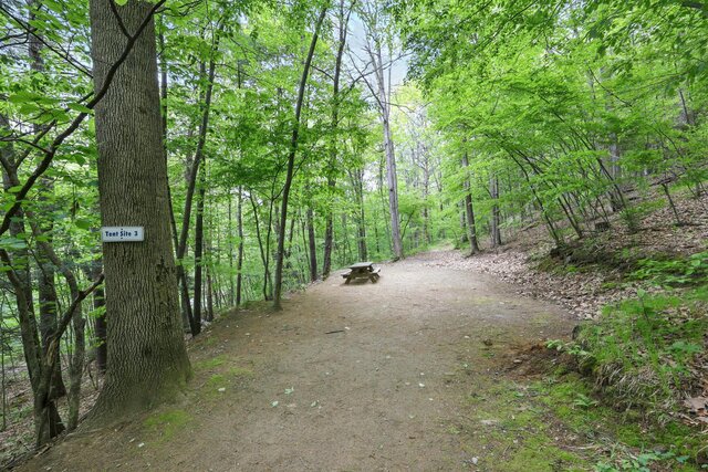 Image 1 for Primitive Site #3