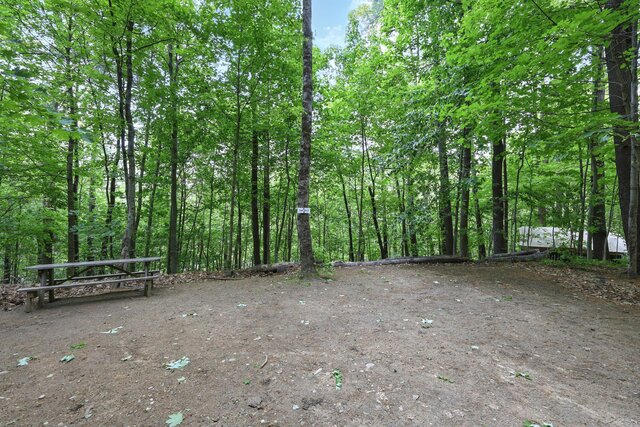 Image 1 for Primitive Site #2
