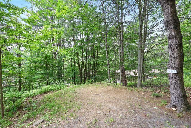 Image 1 for Primitive Site #5