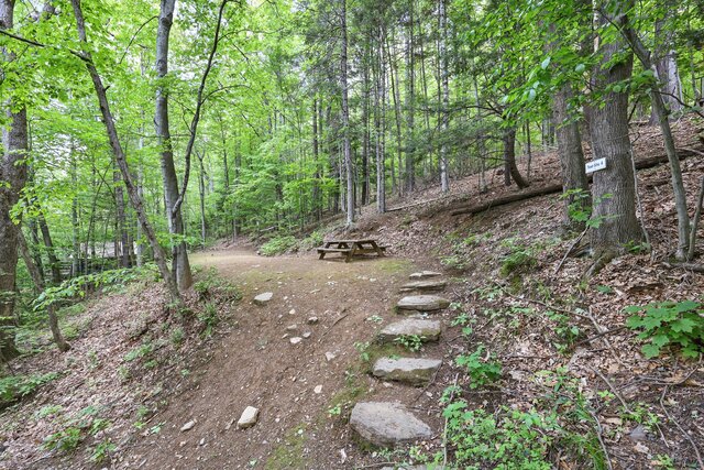 Image 1 for Primitive Site #4