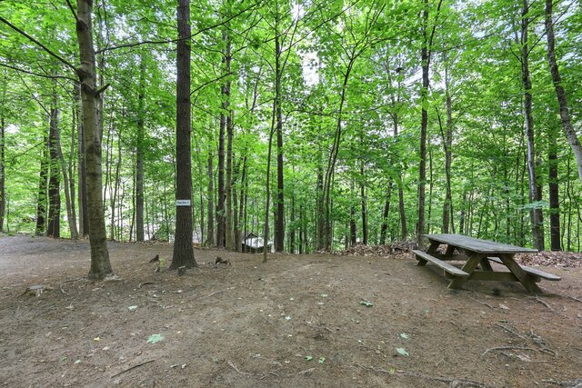 Image 1 for Primitive Site #1