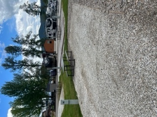 Image 1 for 55) Back In