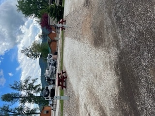 Image 1 for 53) Back In