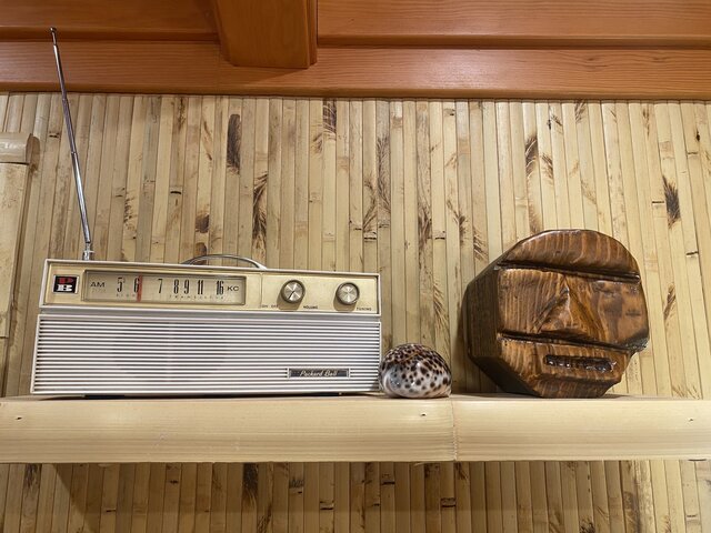 Image 4 for The Castaway