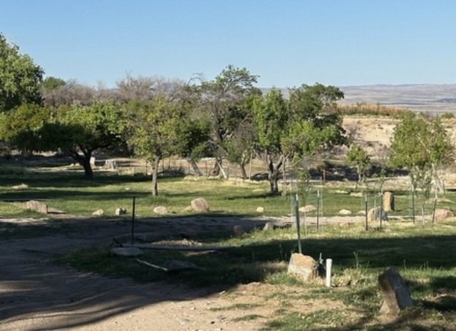 Image 1 for Tent Space 2