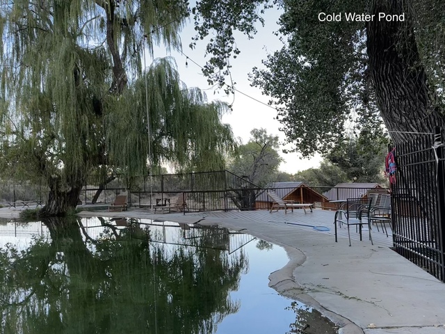 Image 3 for Basic Camp Group