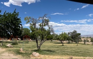 Image 4 for Standard Cabin Group