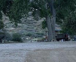 Image 1 for RV Site 3