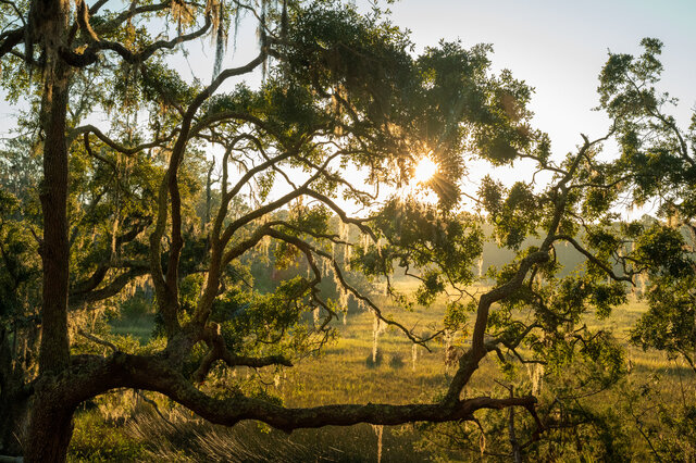 Image 13 for Legend Tent