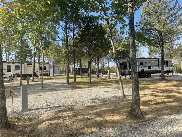 Image 2 for Treed Standard Back-In Sites